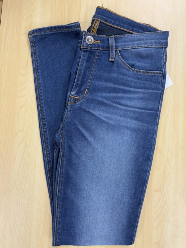 Hudson Natalie Supper Skinny Jean