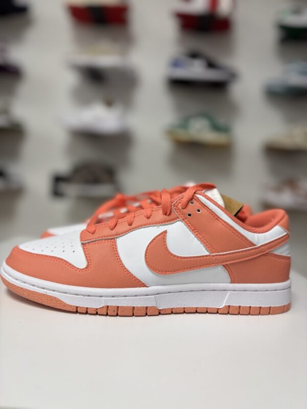 Nike Dunk Low Next Nature