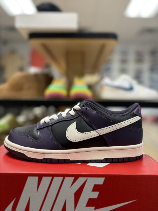 Nike Dunk Low Casual Kids